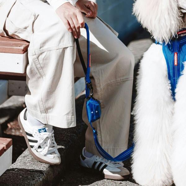 EzyDog Essential Poop Bag Holder in Blue