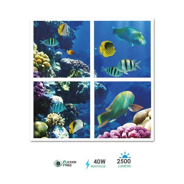 ENER-J Set of 4 40W 2D Ocean Marine Ceiling Light Set of 4 SKY Panel 60x60cms LED Light Cool Ultra Thin Panel, 6500K