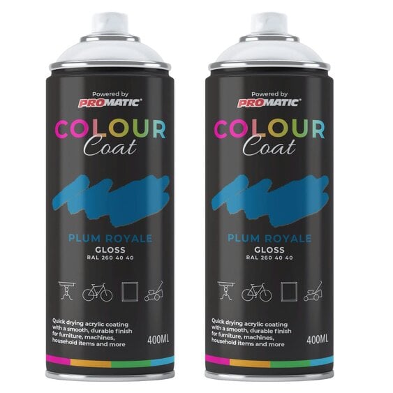 Colour Coat 2X Plum Royale RAL 260 40 40 Gloss Spray Paint 400ml
