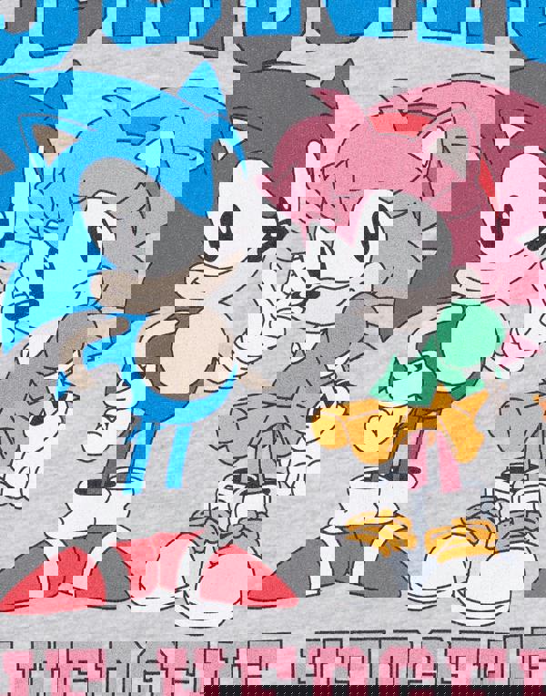 Sonic the Hedgehog Girls Grey Collegiate Sonic & Amy Hoodie