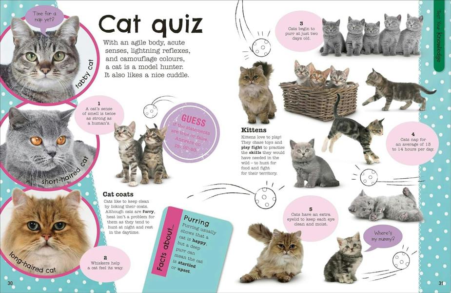 The Fact-Packed Activity Book: Animals by DK