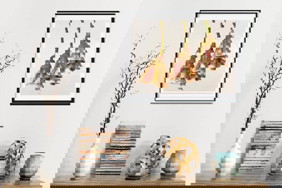 Allium Bulgaricum flower art print framed or on canvas