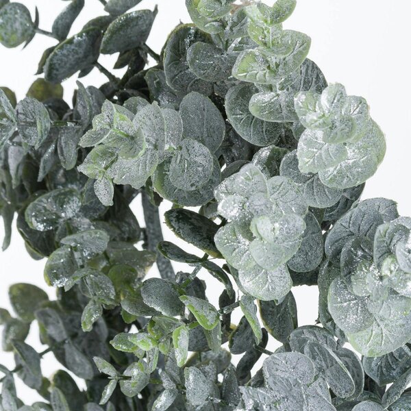 Wyld Haus Artificial Medium Frosted Eucalyptus Candle Wreath