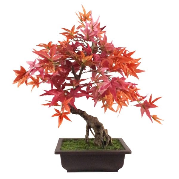 Leaf 50cm Artificial Red Maple Bonsai Tree