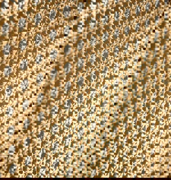 Cane Rattan Room Divider/ Screen, Oak-Weilai Concept-Weilai Concept