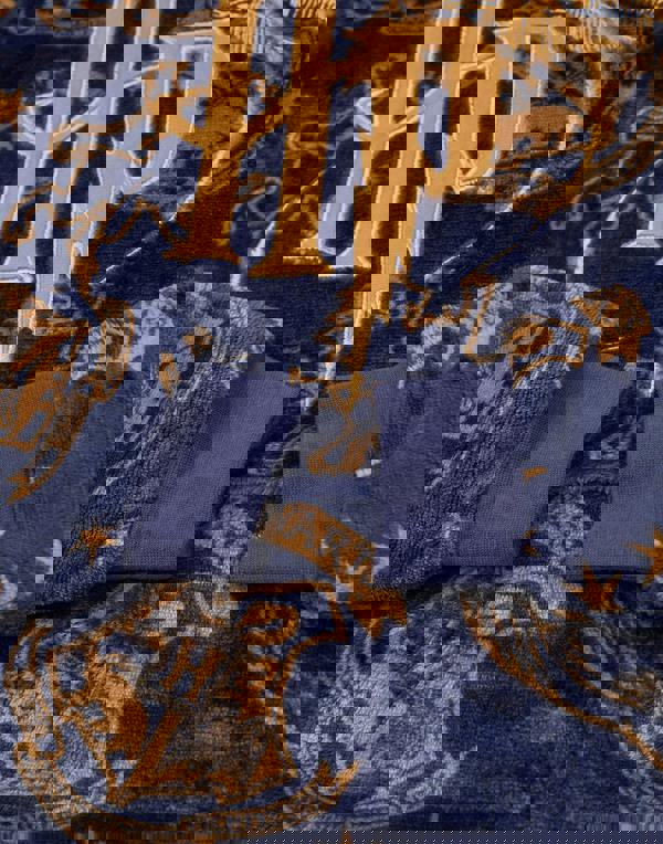 Harry Potter Girls Blue Embroided Logo Blanket Hoodie (One Size)