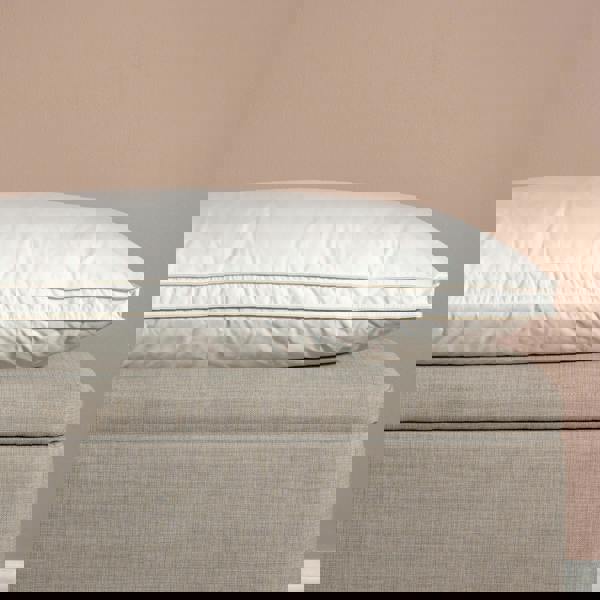 Soak&Sleep Hungarian Goose Down Pillows