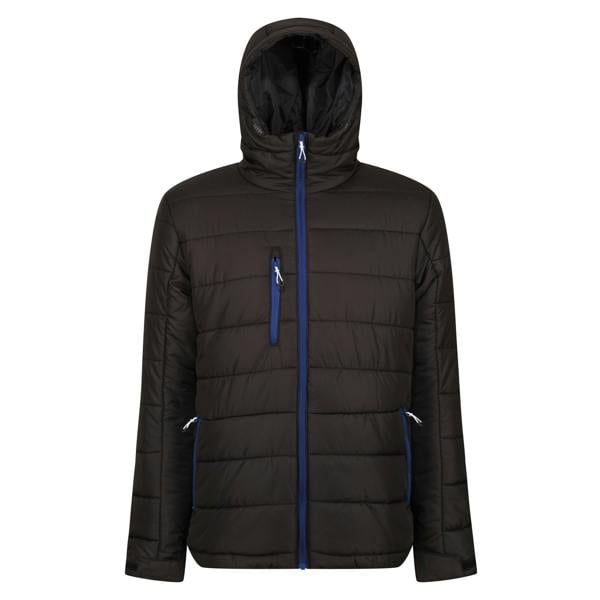 Regatta Professional Mens Thermal Padded Jacket - Black/New Royal - 