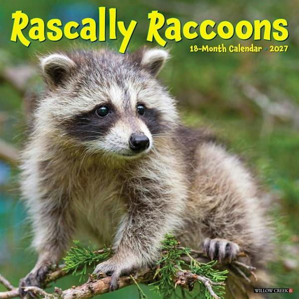Rascally Raccoons Calendar 2027, Wall Calendars, Month To View, Animals, Gift