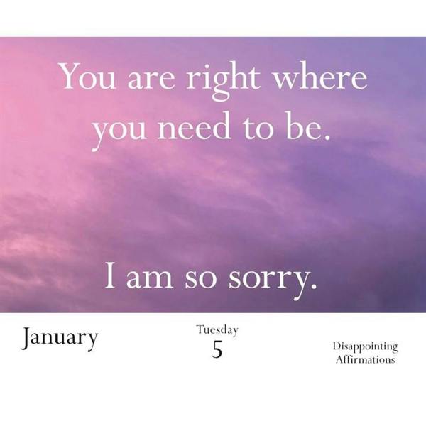 Chronicle Books Disappointing Affirmations Desk Calendar 2027, Desk Calendars, Day To View, Humour, Gift