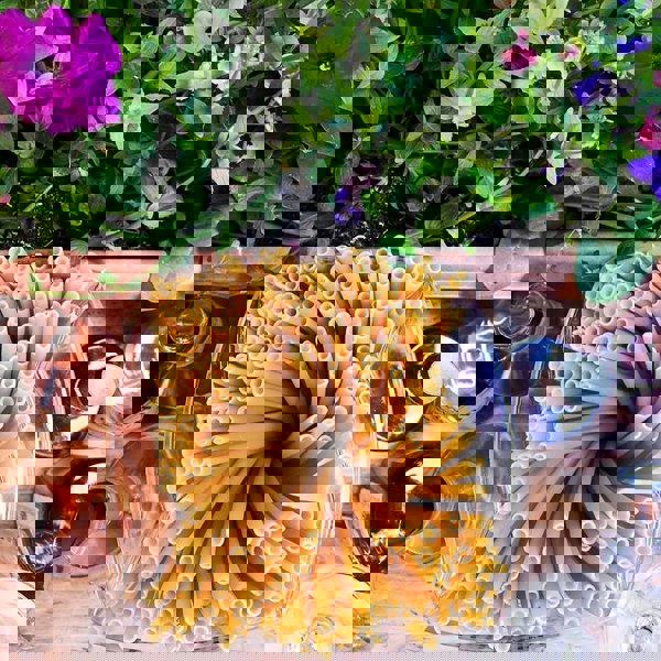 Stroodles XXL Party Bundle