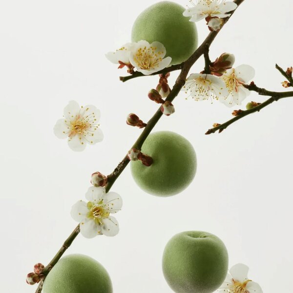 BEAUTY OF JOSEON Green Plum Refreshing Cleanser 100ml