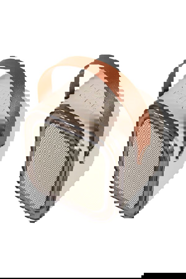 Living and Home Portable Karaoke Machine with Wireless Microphones and RGB Lights