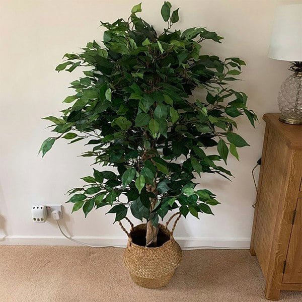 Leaf 120cm Leaf Realistic Artificial Ficus Tree / Plant