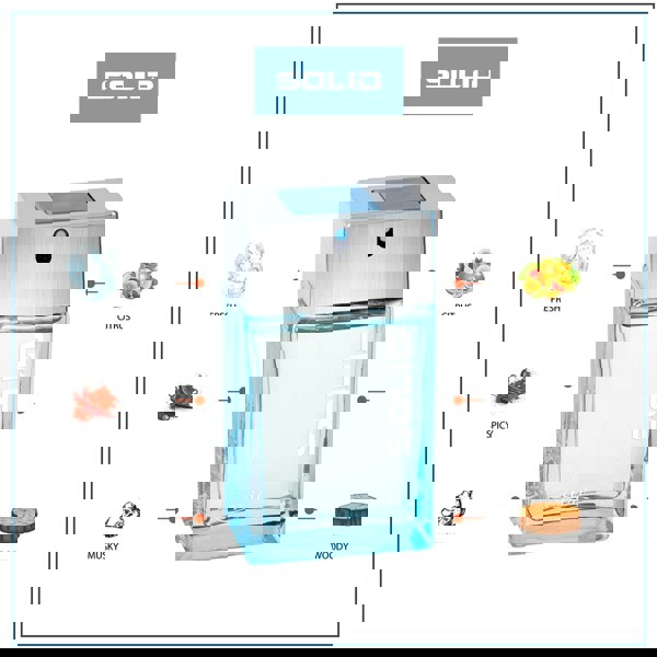 Sapil Solid 100ml EDT Mens fragrance breakdown with scent notes