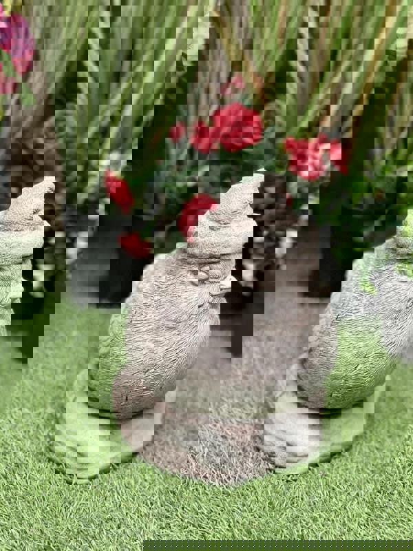 Stone Cast Christmas Robin Garden Ornament