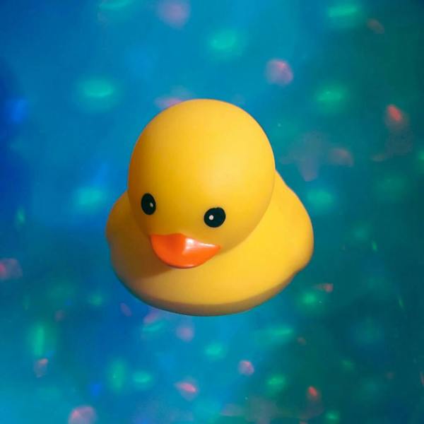 A classic yellow rubber duck floating in water illuminated by an underwater multi-coloured disco light show of blue and green patterns.