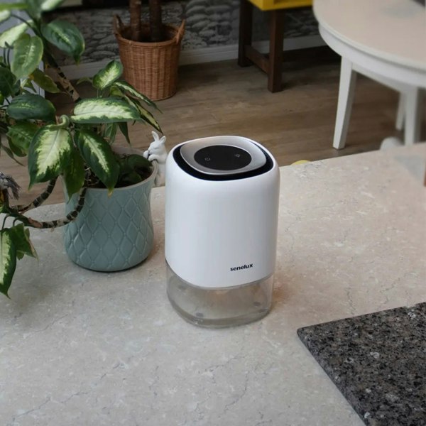 Q4 dehumidifier on a kitchen counter