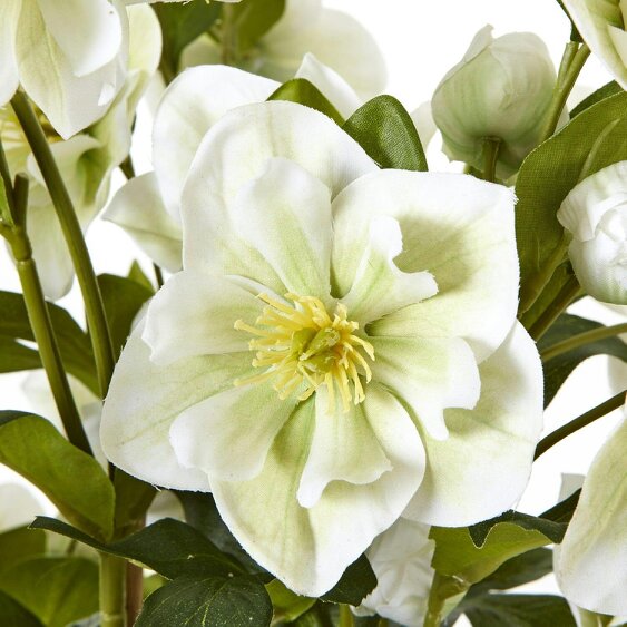 Wyld Haus Large Artificial Plant White Hellebore Flowers In Grey Pot