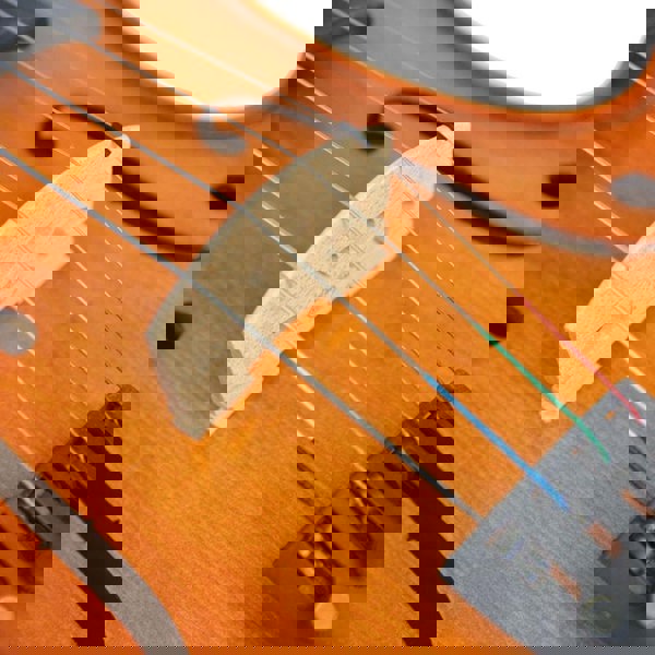 Forenza Prima 2 Viola Outfit - 15.5 Inch Violas