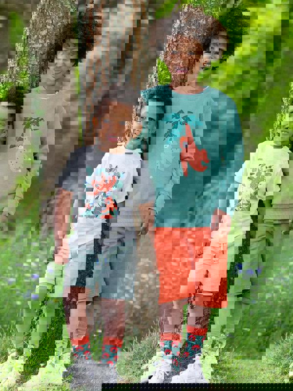 Kite Boys Organic Orangutan Sweatshirt