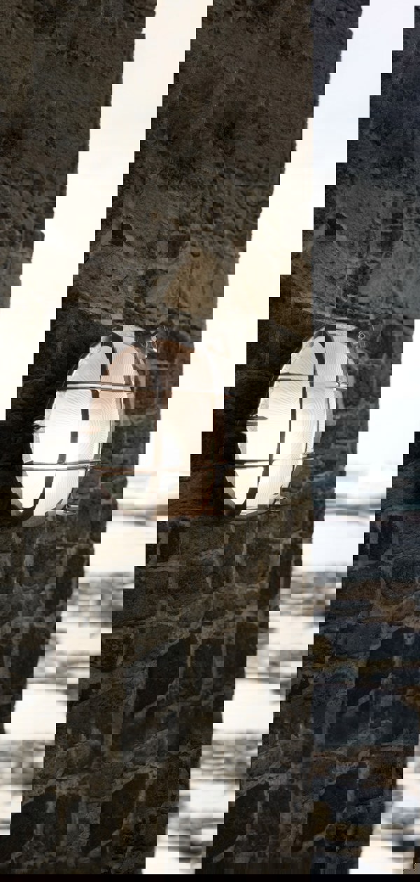 Nordlux Polperro | Wall light | Nickel