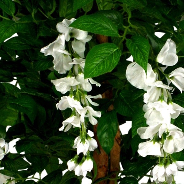 Leaf 130cm Luxury Artificial Wisteria Tree White Flowers - Premium Range