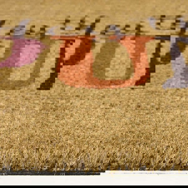 HOMESCAPES Hey There Pumpkin Non-Slip Coir Doormat, 40 x 60 cm