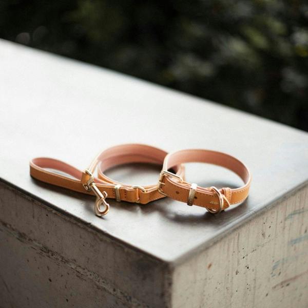 EzyDog Oxford Leather Classic Dog Collar in Pink
