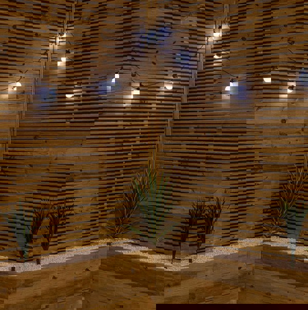 Samuel Alexander Set of 10 Indoor Outdoor Connectable Party Festoon Lights with Cool White LEDs