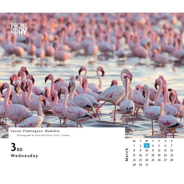 Photo Of The Day Desk Calendar 2027, Desk Calendars, Day To View, Natural World, Gift