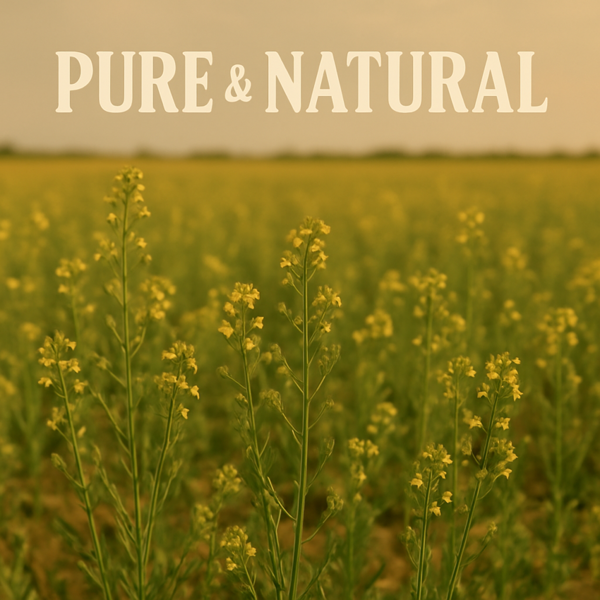 Ol'Vita Camelina Oil  | Cold Pressed | Unrefined