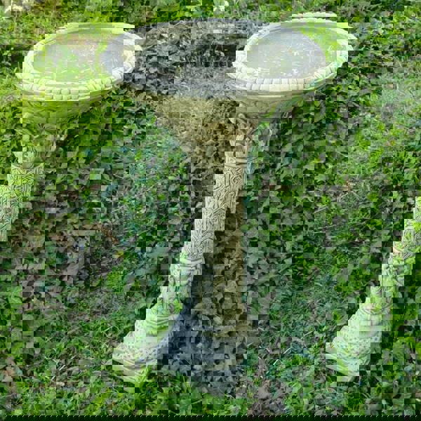 Arcadian style Elegant Stone cast Birdbath