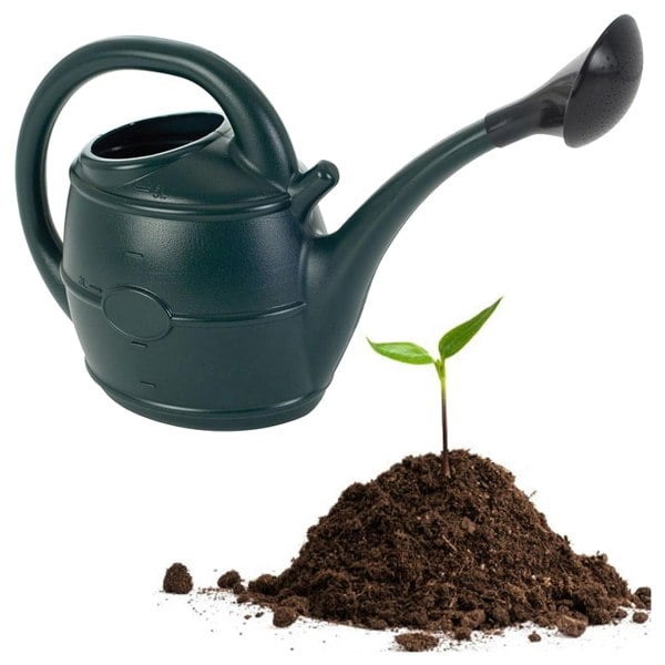 Easy To Use 13 Litre Green Watering Can With Rose Head Ideal For Everyday Gardening Tasks