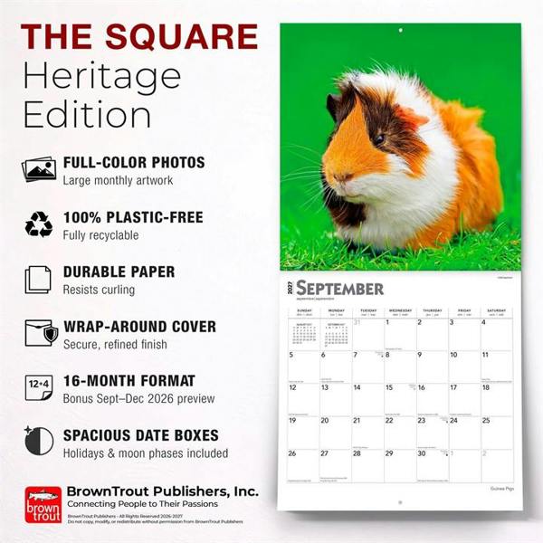 Guinea Pigs Calendar 2027, Wall Calendars, Month To View, Animals, Gift