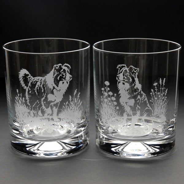 Glyptic Glass Art Border Collie Dog Whiskey Tumbler Glass - Hand Etched/Engraved Gift