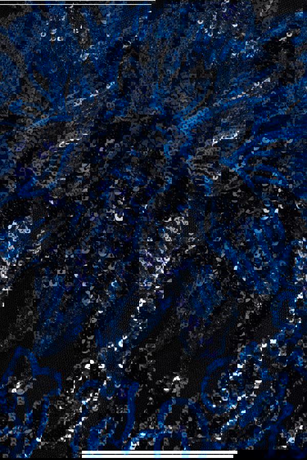 Floral Sequin Mesh Maxi - Navy DR4041