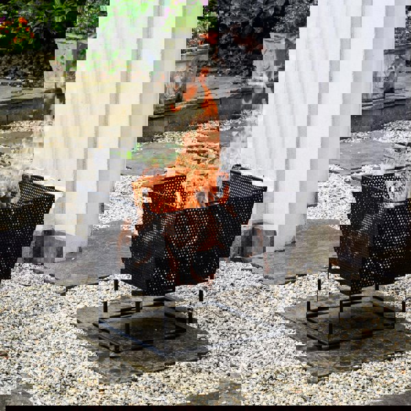 Ivyline Outdoor Norfolk Firebowl