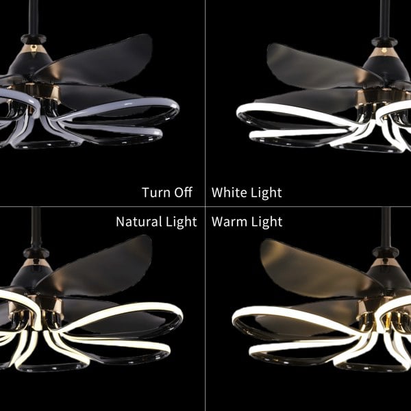 Lightsin Contemporary Black Aluminum Ceiling Fan Light for Living Rooms Lightsin UK 