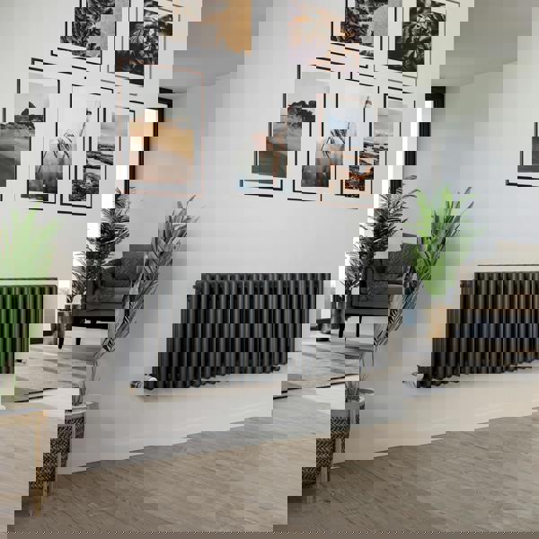 Agadon Kylo 3 Column Traditional Radiator