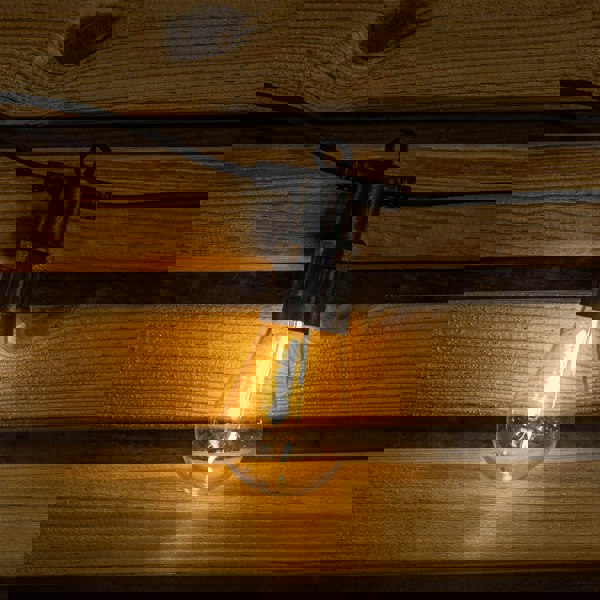 Samuel Alexander Set of 20 Indoor Outdoor Connectable Vintage Festoon Lights with Warm White LEDs