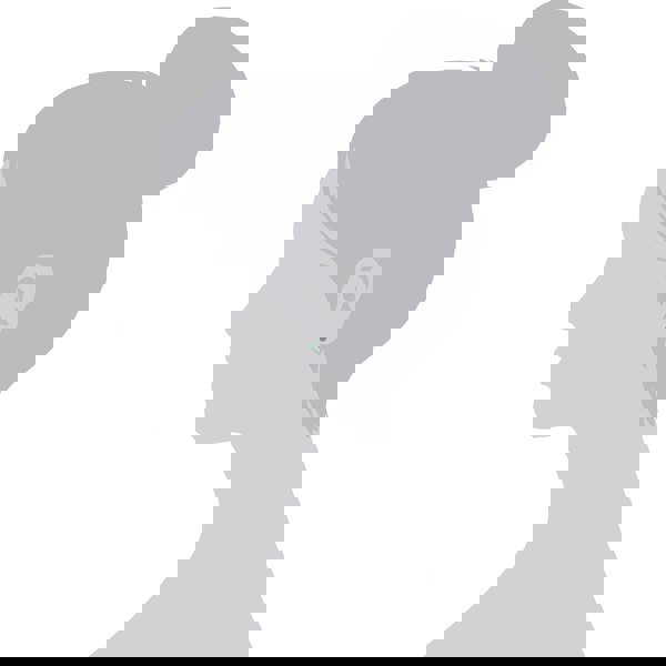 270E025801925 Classic Round Jade Bezel Stud Earrings in 925 Sterling Silver 3