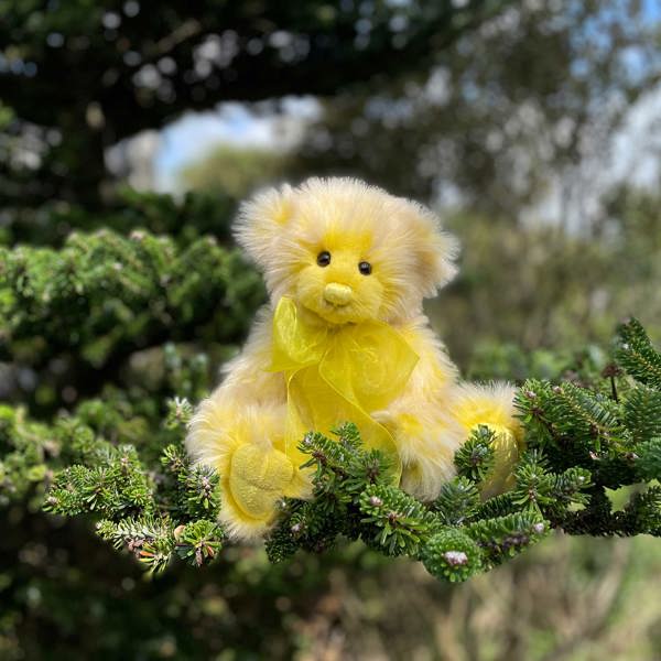 Charlie Bears Friday