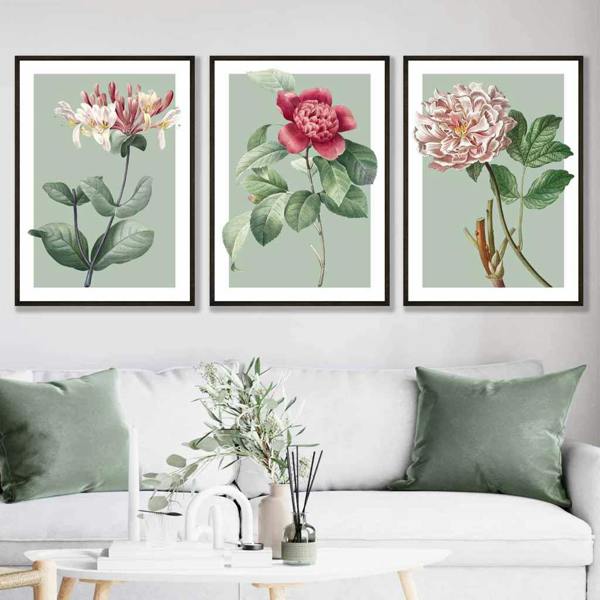 Vintage Flowers Honeysuckle, Peony Set of 3 Wall Art Prints