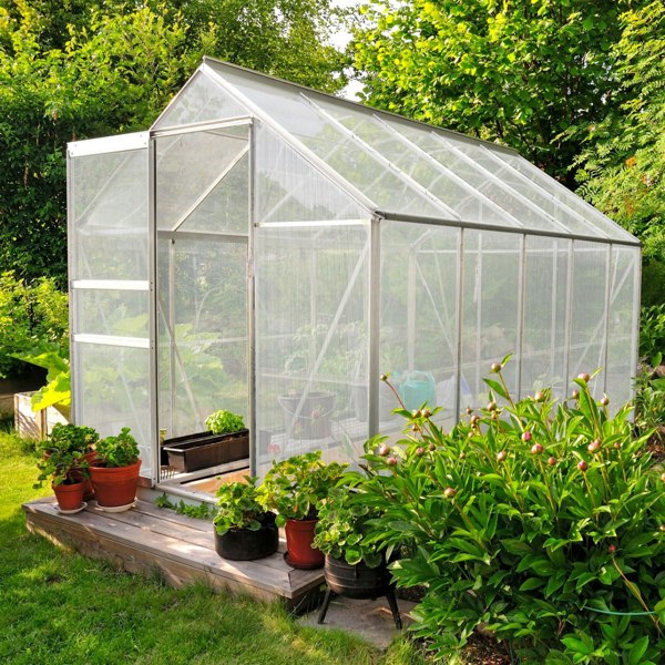 Silver polycarbonate greenhouse measuring 6ft x 10ft, featuring a transparent design, surrounded by vibrant plants and greenery