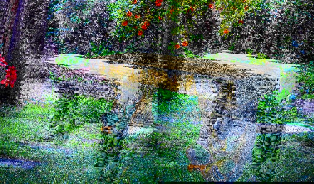 Pixie Goblin Magical Garden Bench