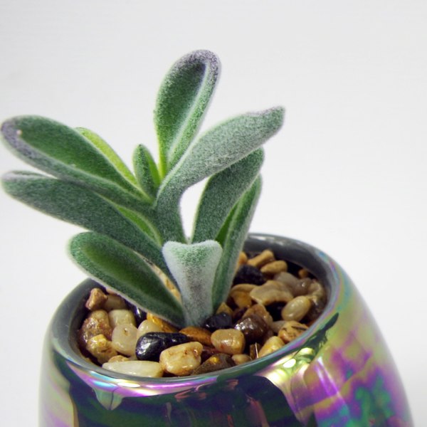 Leaf 15cm Set of Three Grey White Mix Ceramic Mini Planters with Artificial Succulent Plants