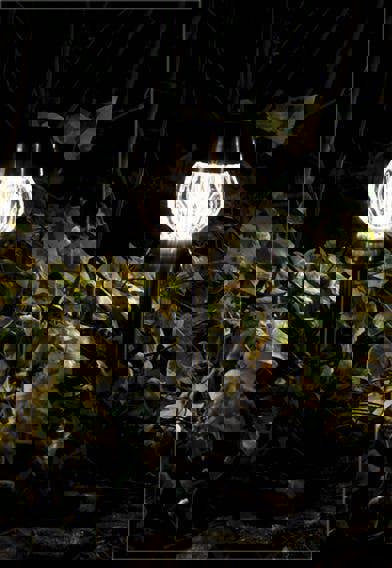 Luxform Solar Tuscany Garden Spike Stainless Steel