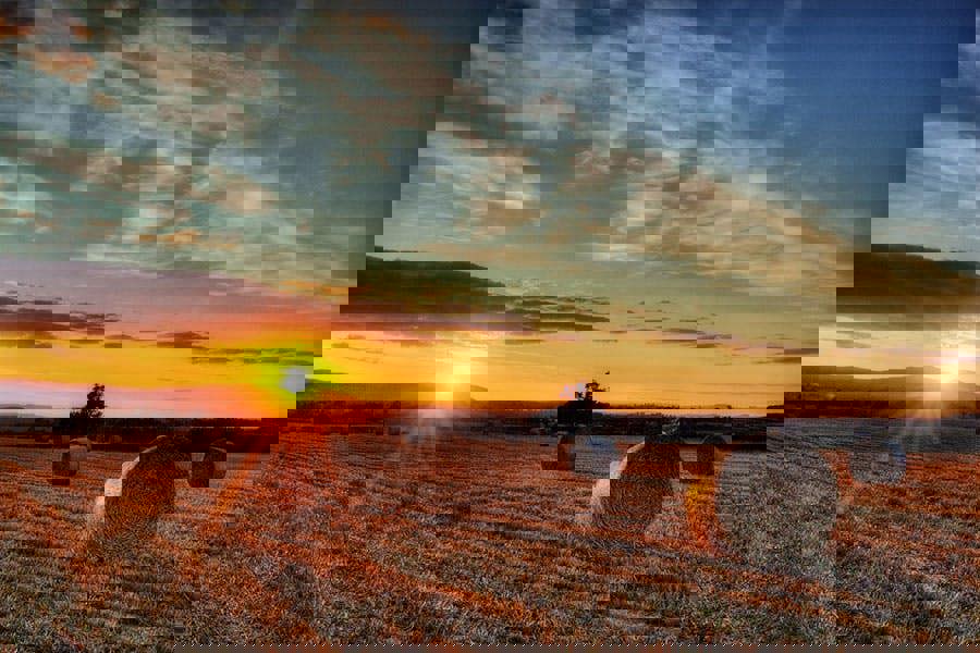 straw bales in field at sunset in worcestershire