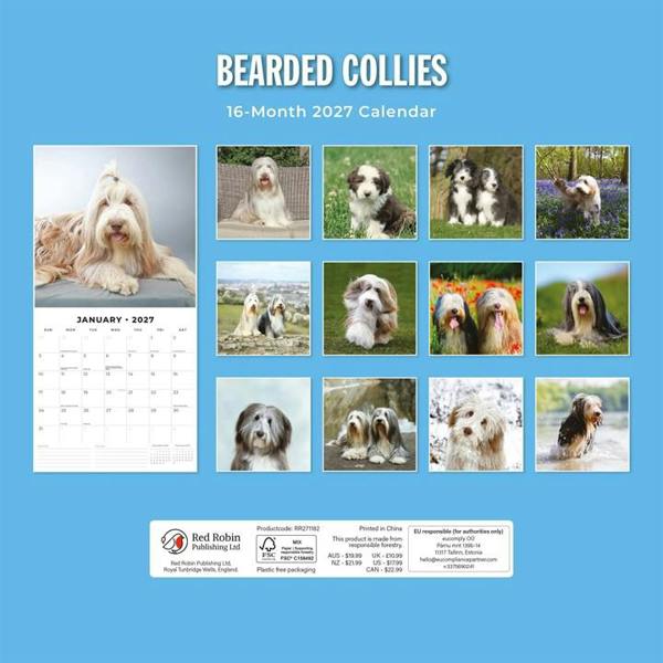 Bearded Collies Calendar 2027, Wall Calendars, Month To View, Dogs, Gift